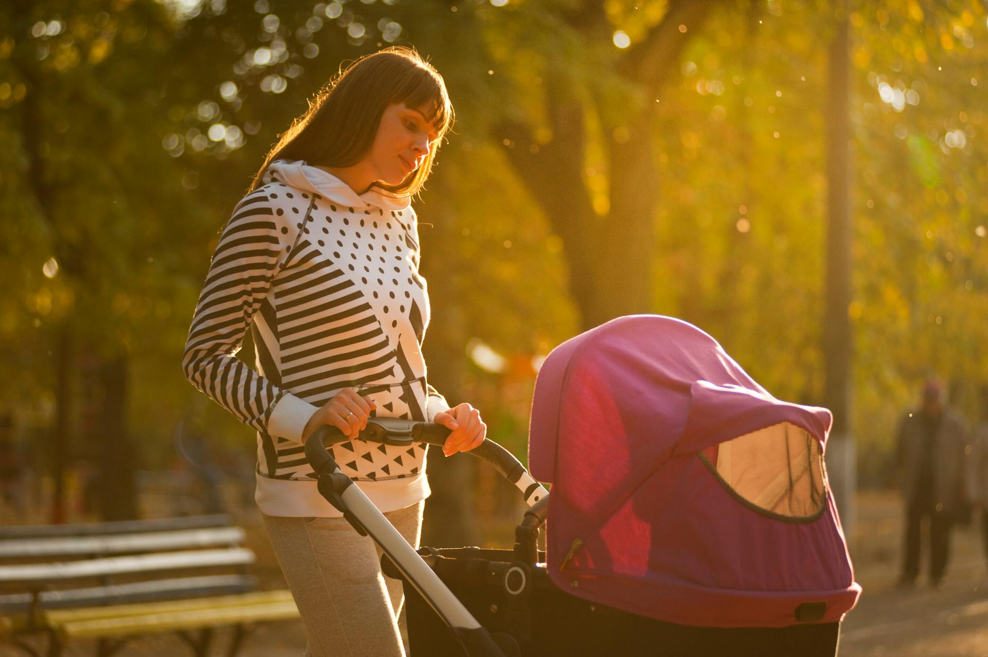 disneyland-stroller-rules-101:-your-guide-to-a-smooth-visit-–-fangwallet