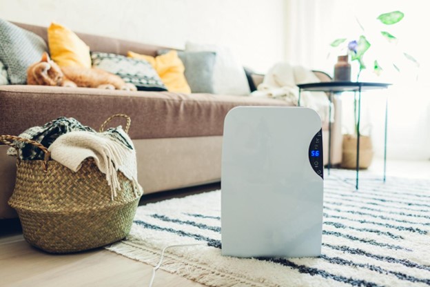 mould-resistant-living:-how-a-dehumidifier-can-help-you-breathe-easier